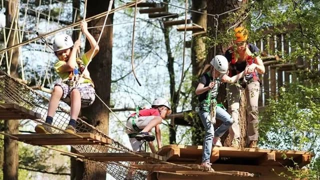 Afbeelding van Diverse activiteiten