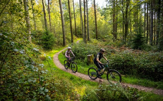 Afbeelding van Mountainbiken
