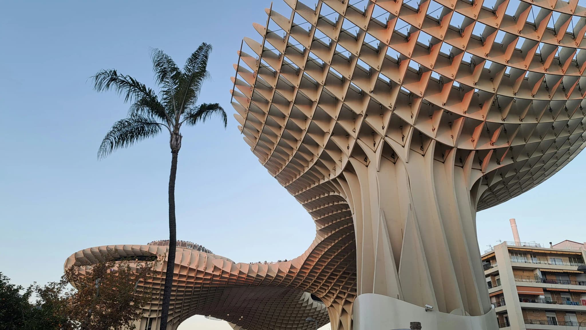 Afbeelding van Setas de Sevilla