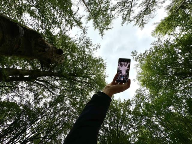 Afbeelding van Smartphonefotografie